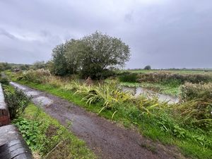 Photo 19- click for photo gallery